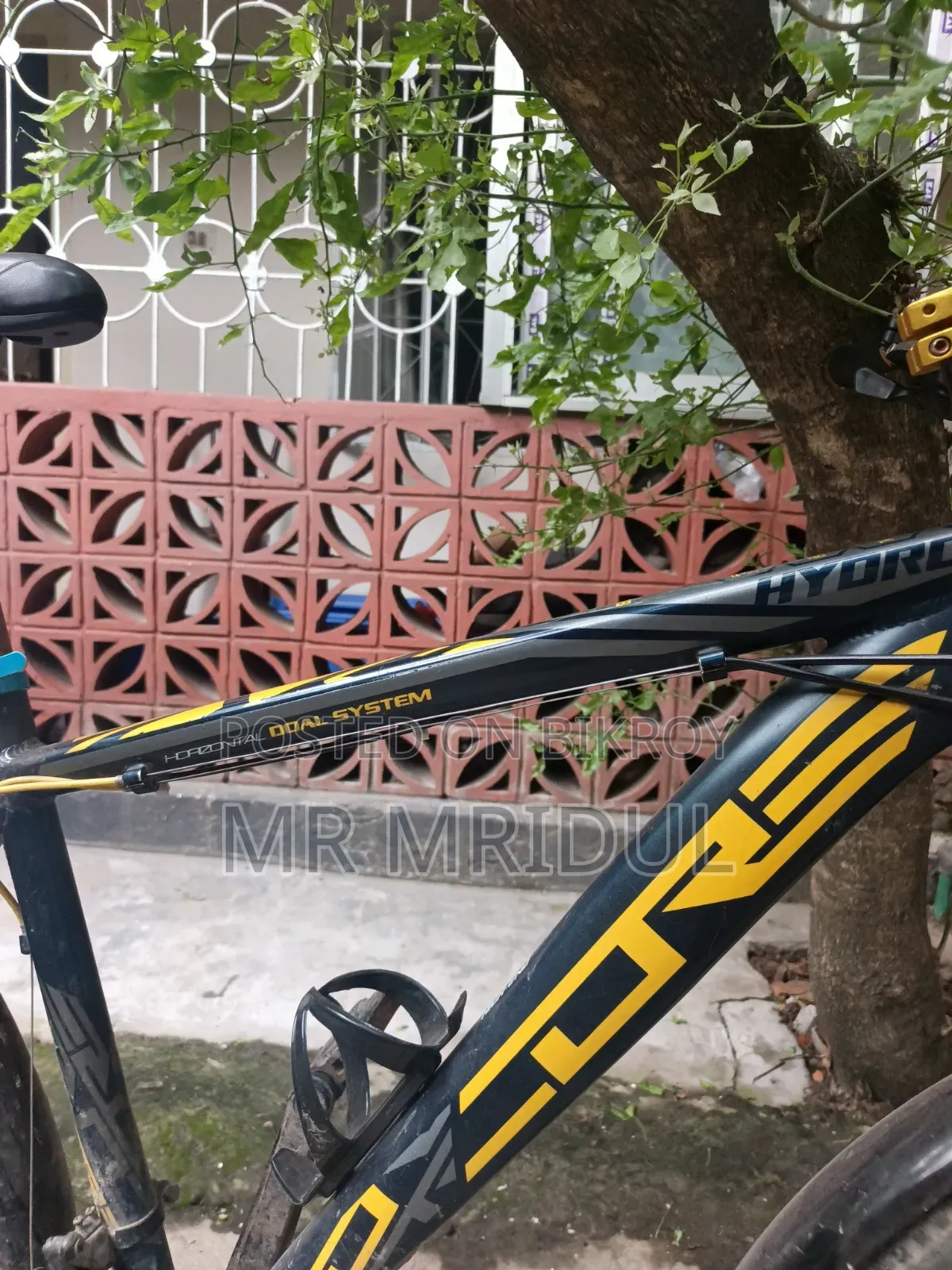 Core Cycle Fresh