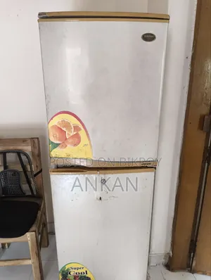 Samsung Fridge (No Problem)