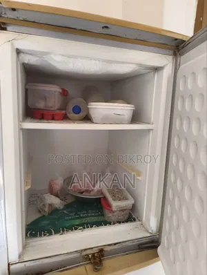 Samsung Fridge (No Problem)
