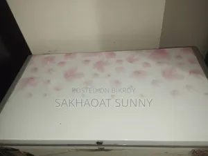 ডিপ ফ্রিজ