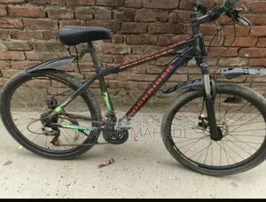 Phonex Cycle