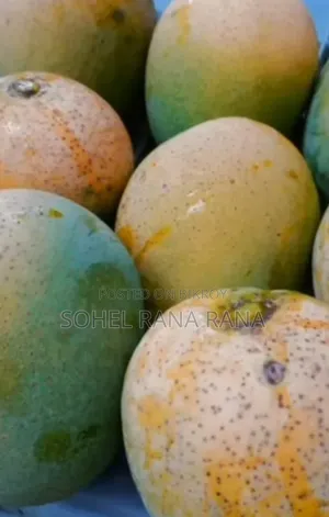 Tree-Ripened Himsagar Mangoes for Sale