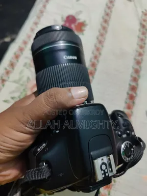 Canon 600D with 55-250 Zoom Lens (Minor display shadow, no issues)