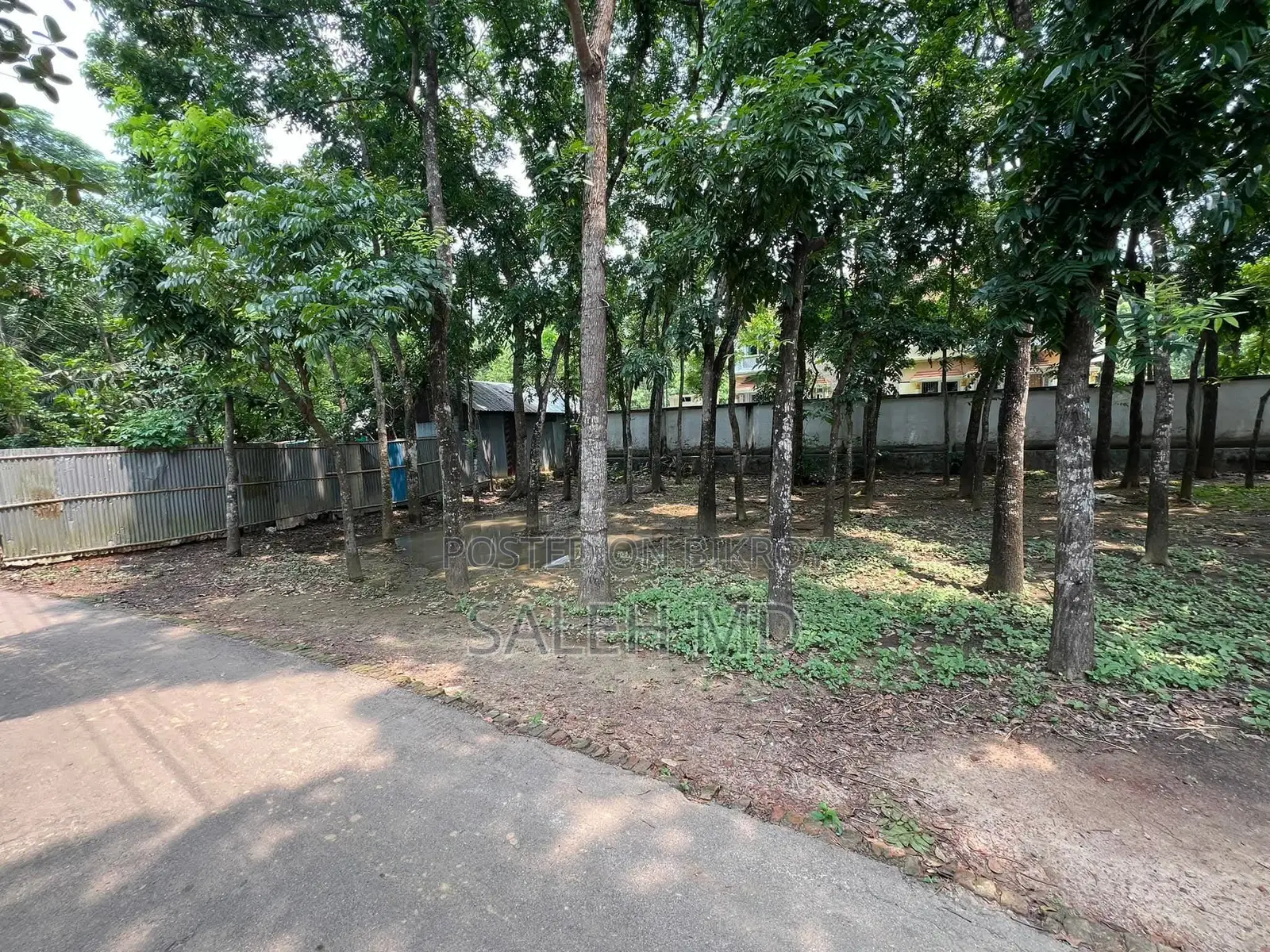 Land Sale Ghorashal Palash With 30 Feet Road