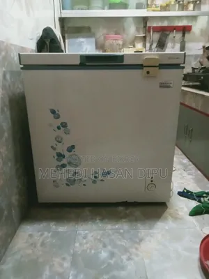 ২৫০ লিটার রাঙ্কস ডিপ ফ্রিজ