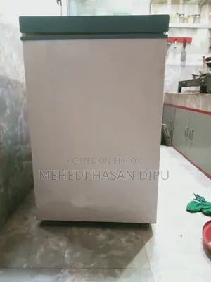 ২৫০ লিটার রাঙ্কস ডিপ ফ্রিজ