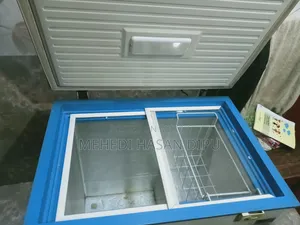 ২৫০ লিটার রাঙ্কস ডিপ ফ্রিজ