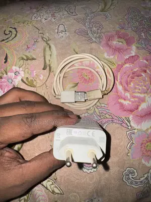 Mobile Charger for Sale 33 Watt