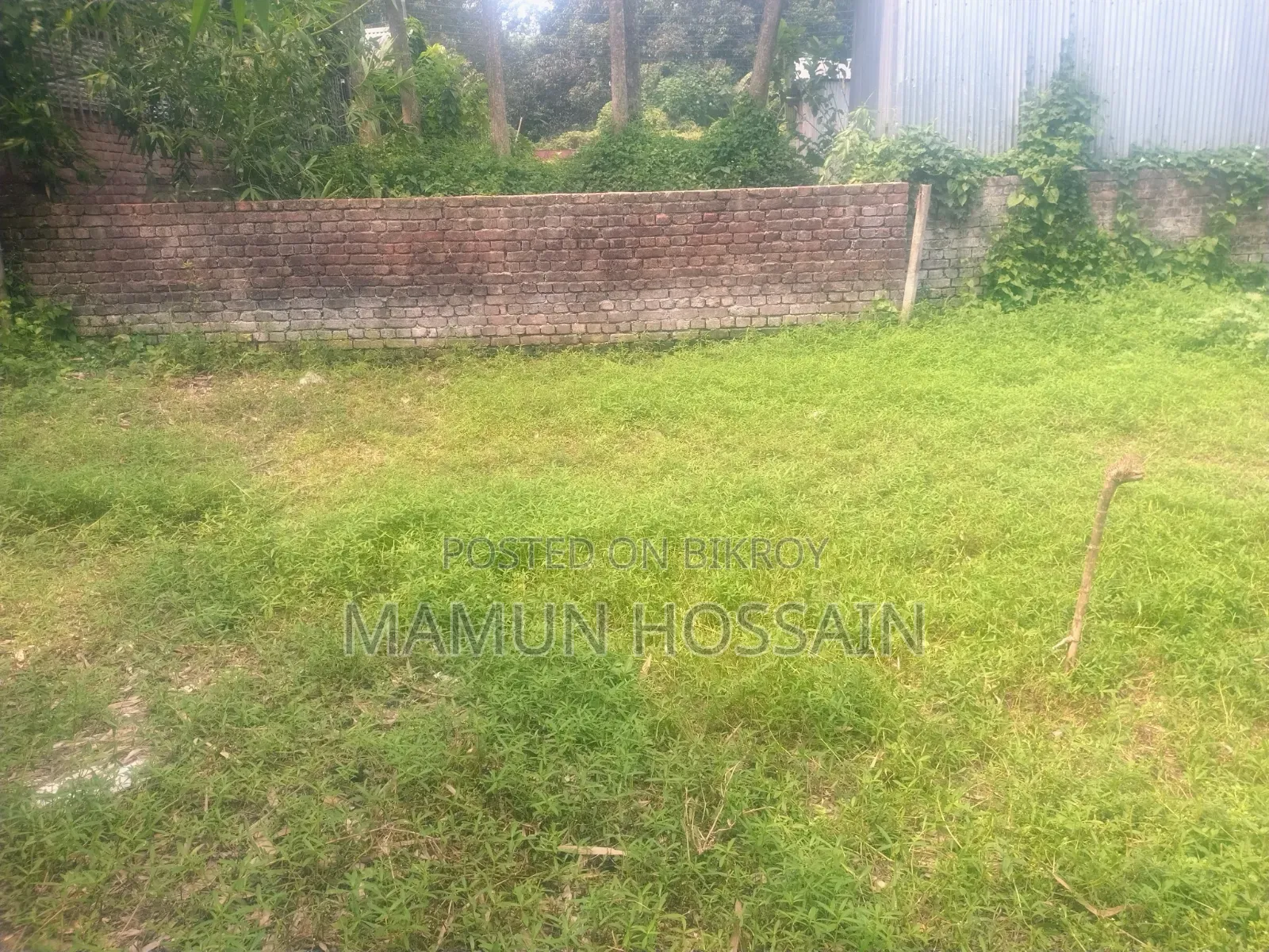 Low-Priced 4 Katha Land
