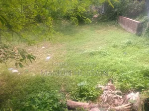 Low-Priced 4 Katha Land