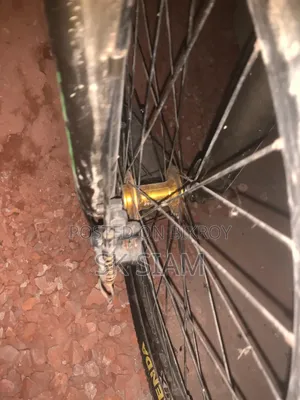 Gear Bicycle