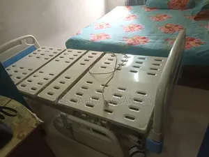 Five Function Electric Hospital Bed