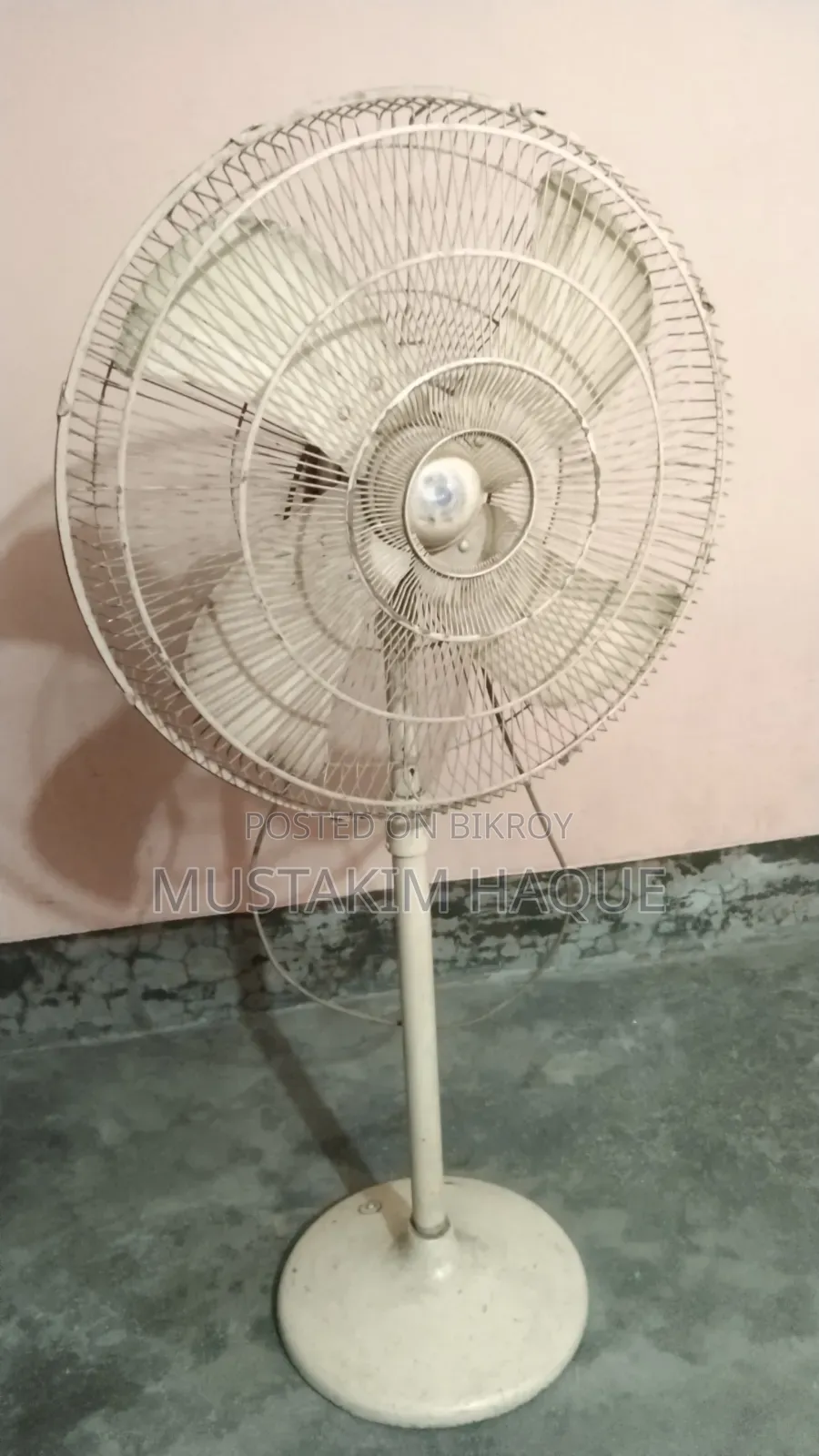 বিগ স্ট্যান্ড ফ্যান