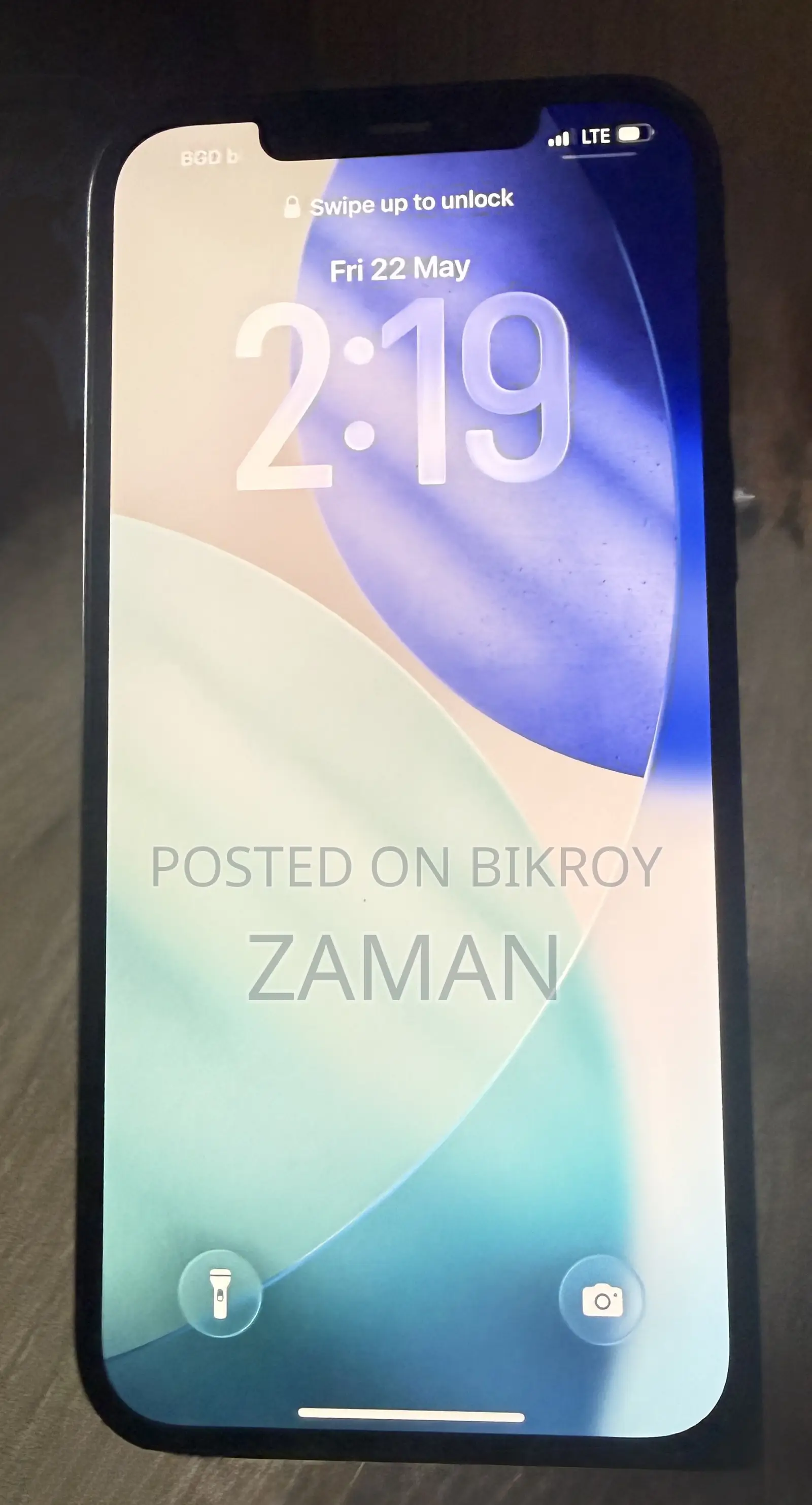 Apple iPhone 12 Pro Max 256 GB ব্লু