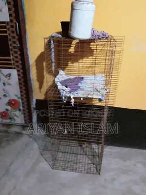 Akta Pakhir Khaca Bikri Hobe 4