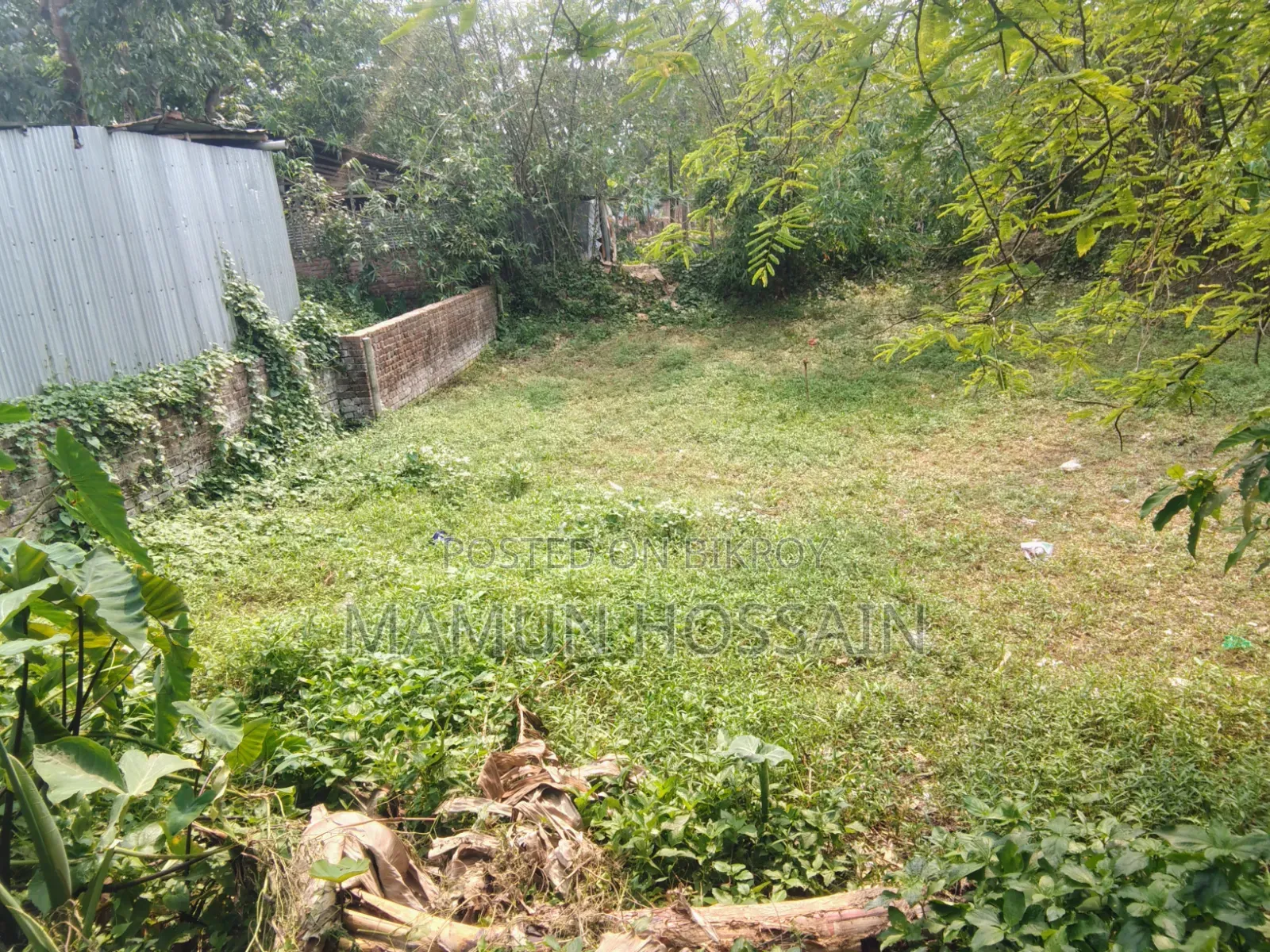 Low-Priced 4 Katha Land