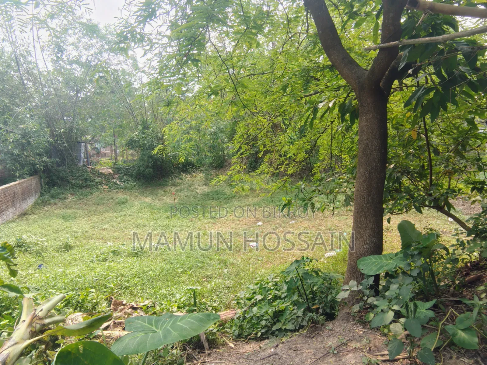 Low-Priced 4 Katha Land