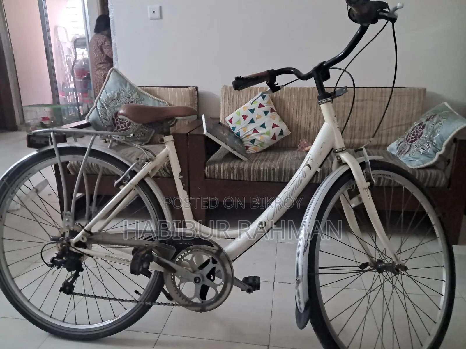 Avocet Sports "Traditional 6" Classic Trekking Bike