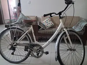 Avocet Sports "Traditional 6" Classic Trekking Bike
