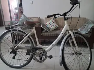 Avocet Sports "Traditional 6" Classic Trekking Bike