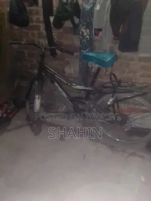 Bycycle Sell