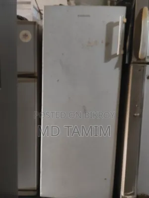 Samsung Fridge