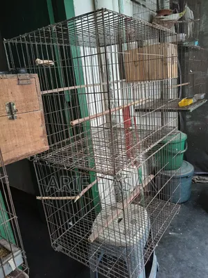 পাখিির খাঁচা