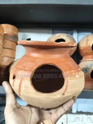পাখির ডিম পাড়ার হাড়ি