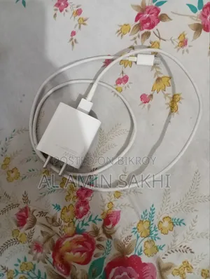 33W Charger