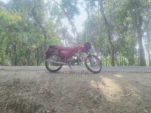 Dayang DY100T-6M 2003 Red
