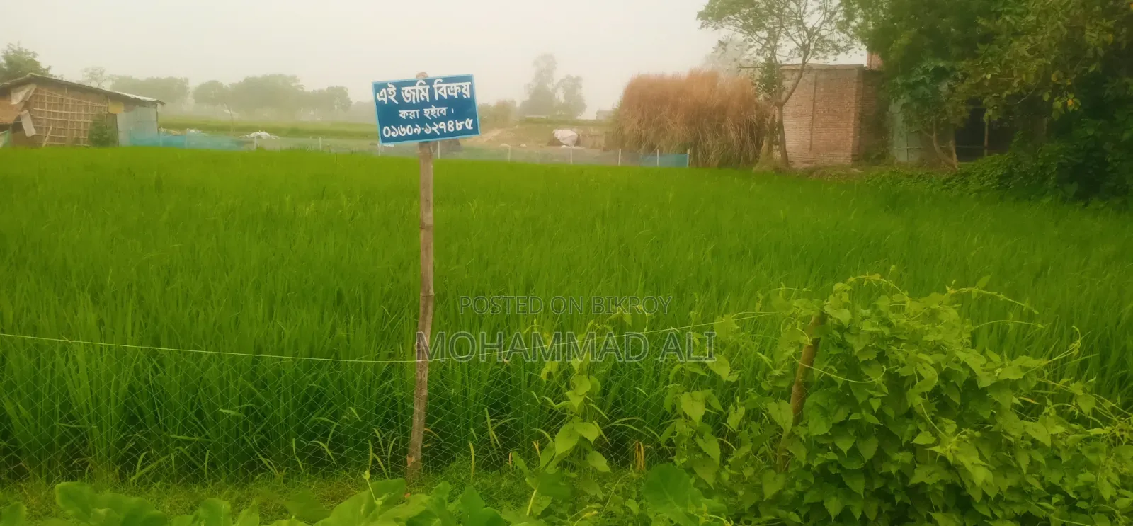 রোডের পাশে জমি