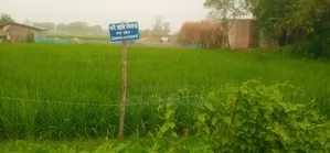 রোডের পাশে জমি