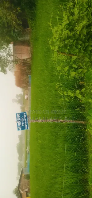 রোডের পাশে জমি