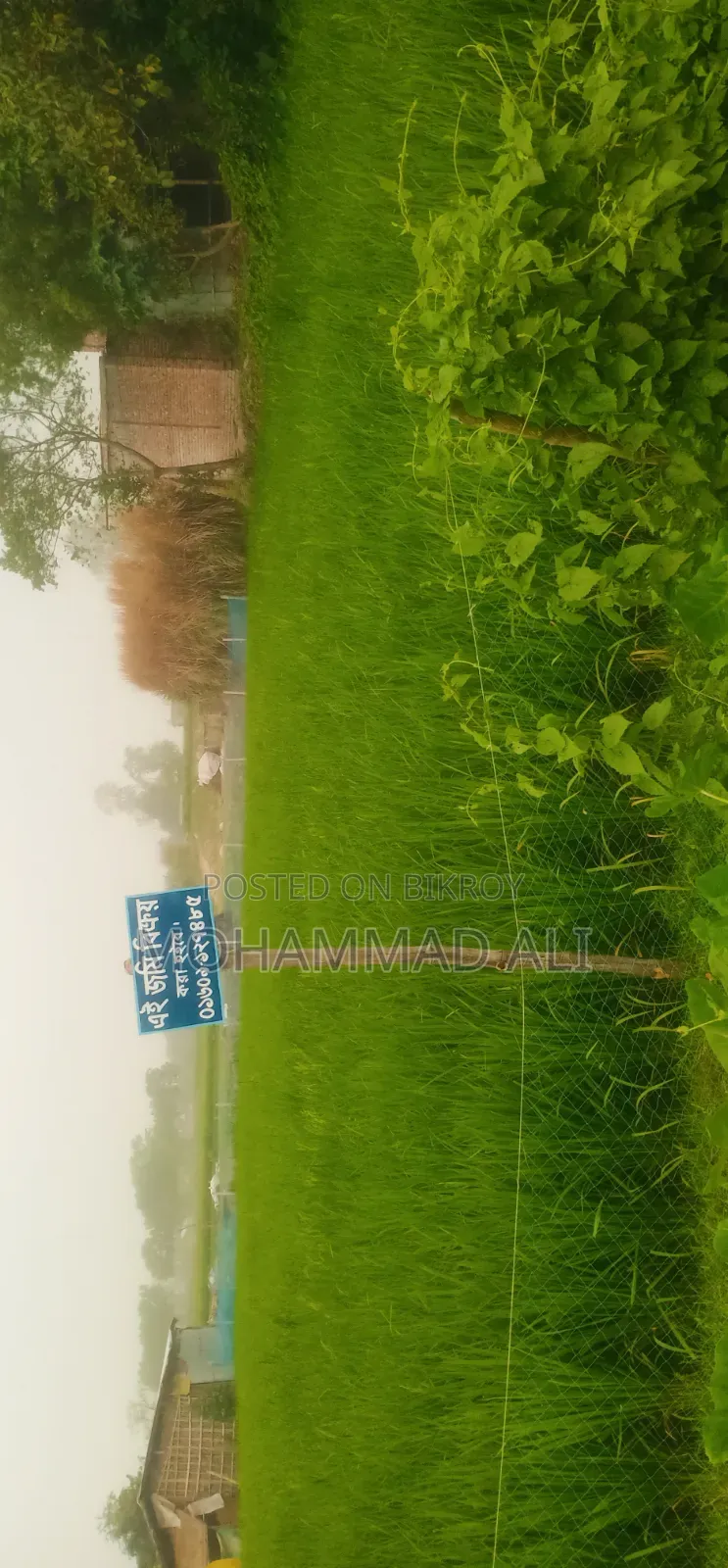 রোডের পাশে জমি