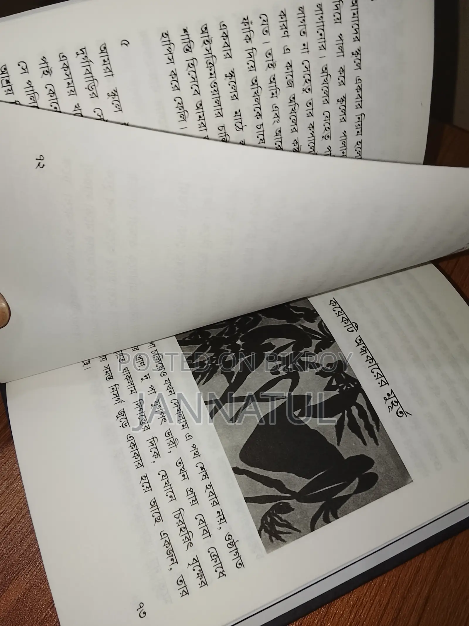 Story Books (Bangla)