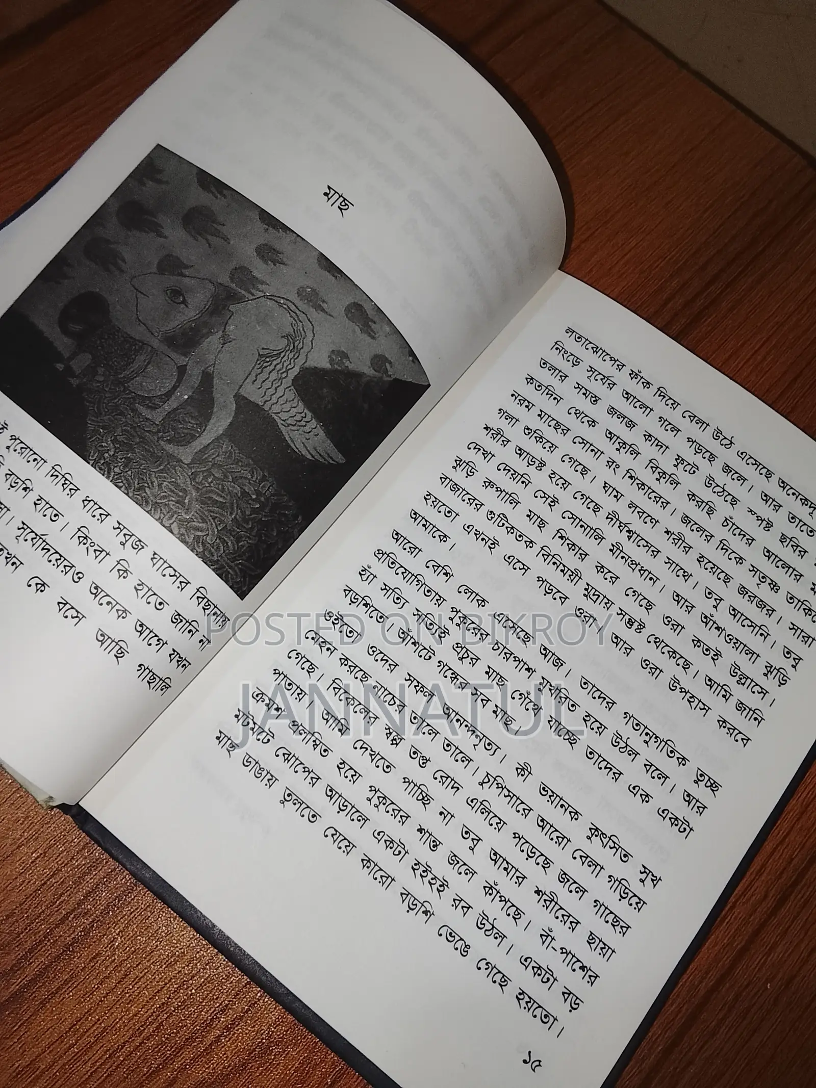 Story Books (Bangla)