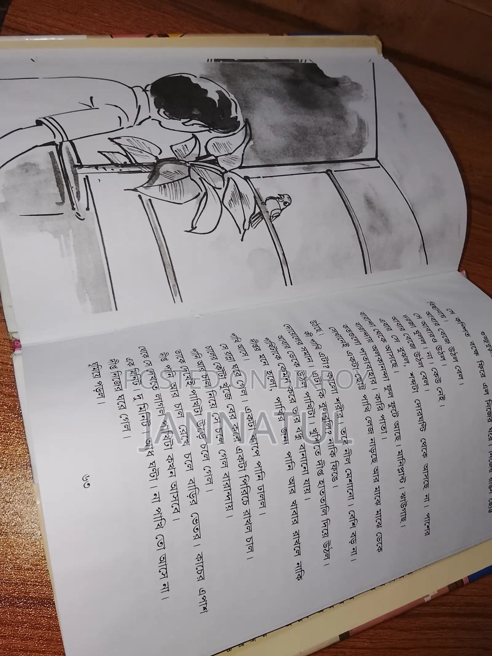 Story Books