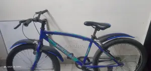 দুরন্ত সাইকেল