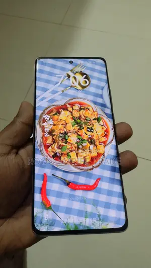 নতুন Oppo A2 Pro 256 GB Bronze