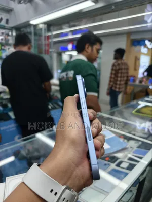 Apple iPhone ১৭ ২৫৬ জিবি ব্লু