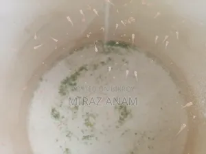 রেড মস্কো গাপ্পি