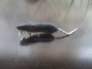 Fishing Lure