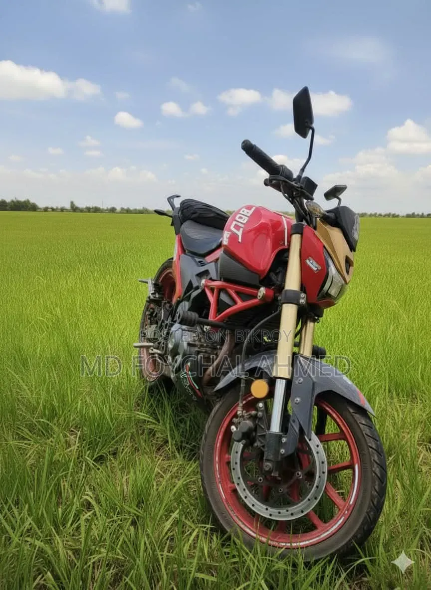 Runner Bolt 165R 2022 Red