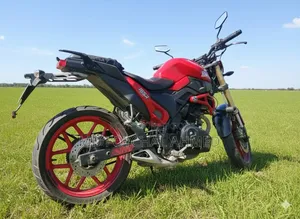 Runner Bolt 165R 2022 Red