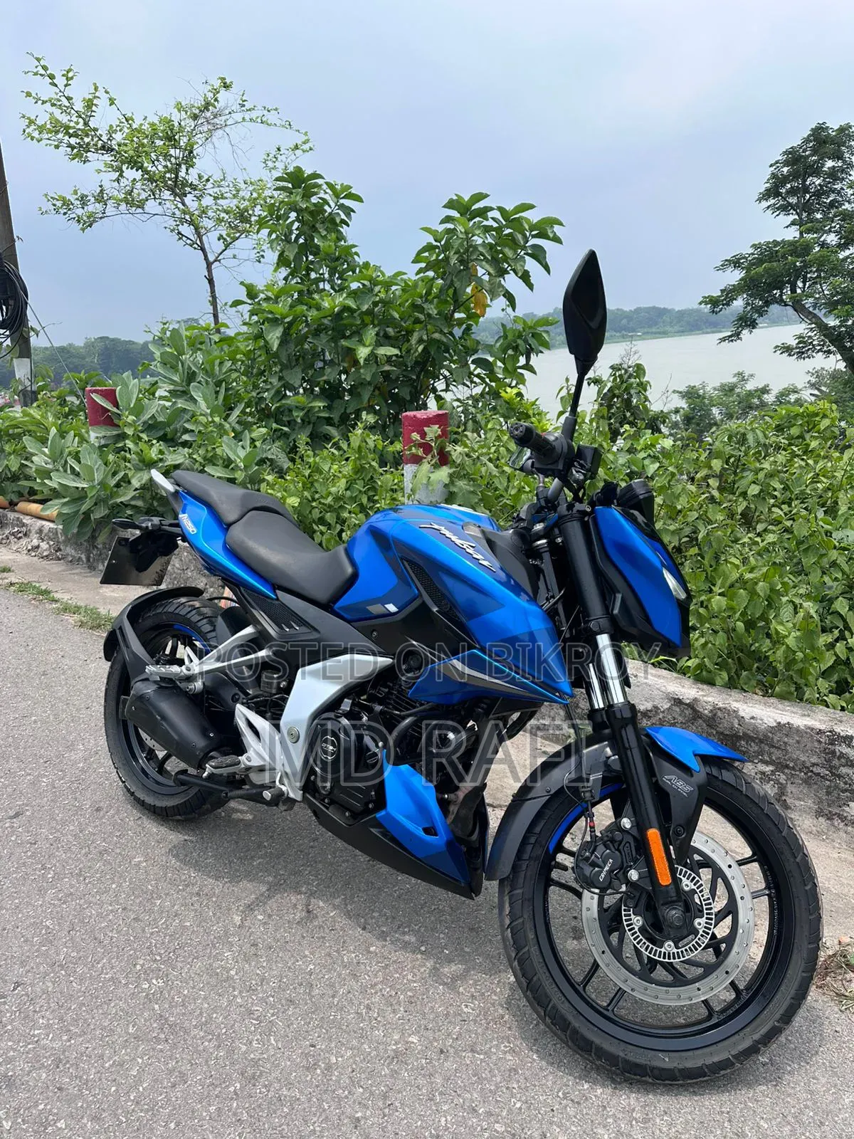 Bajaj Pulsar N250 2024 Blue