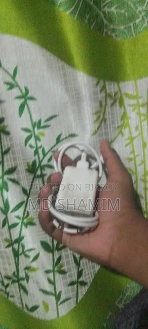 Mobile Charger