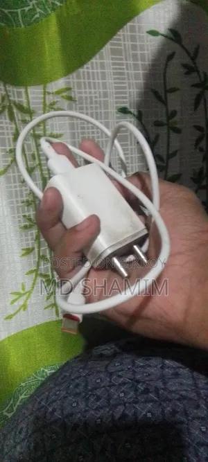 Mobile Charger