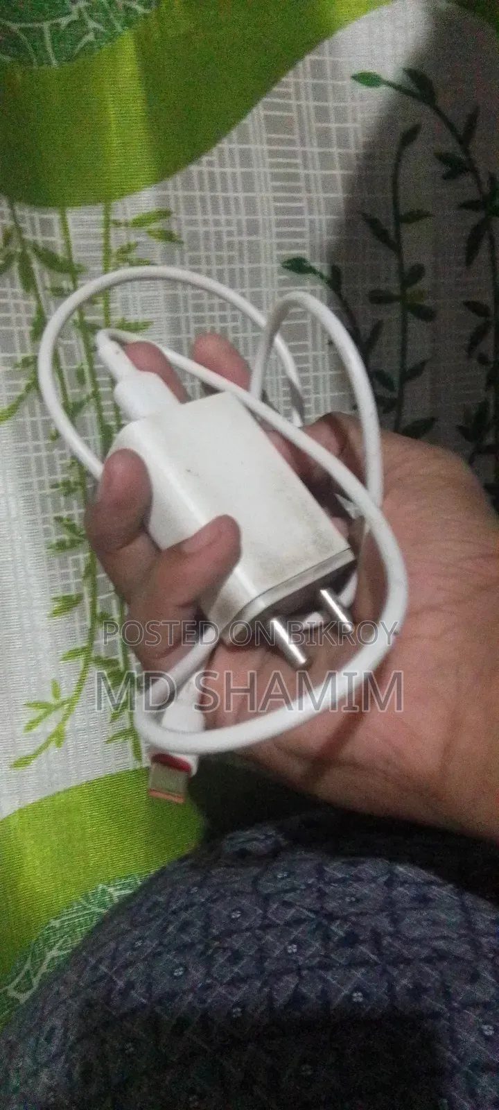 Mobile Charger