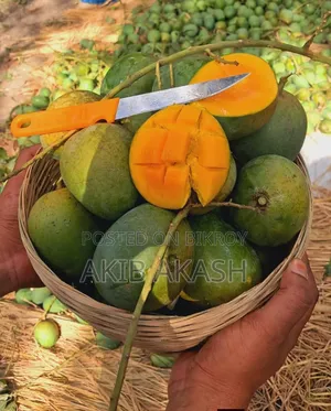 সাতক্ষীরা বিখ্যাত হিমসাগর আম