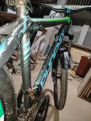 ভালো কন্ডিশনের ফনিক্স সাইকেল বিক্রি হবে | Phoenix Bicycle For Sale